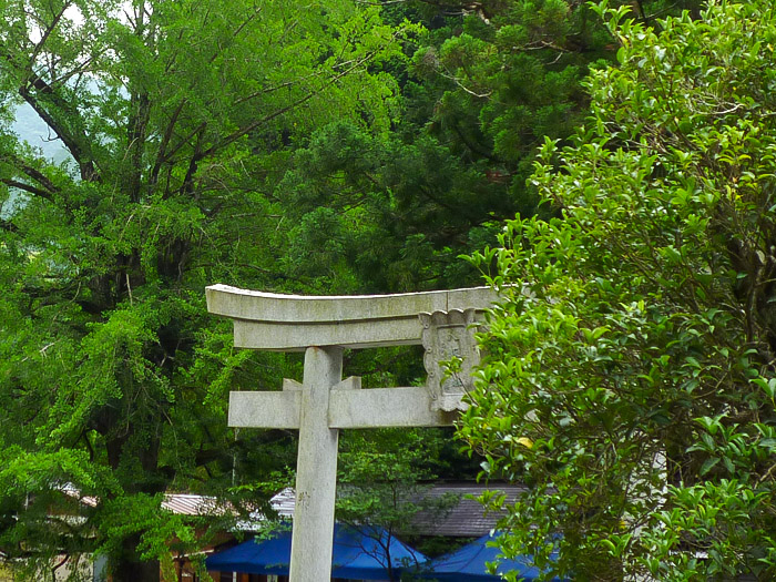 Japan Coffee Festival 2019 in 高野山 (2)