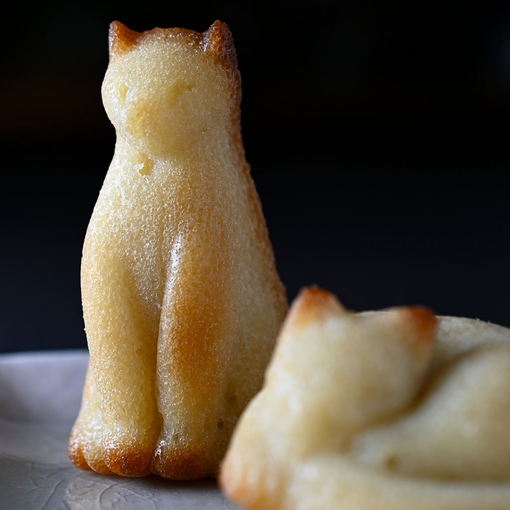 猫のかたちのフィナンシェ