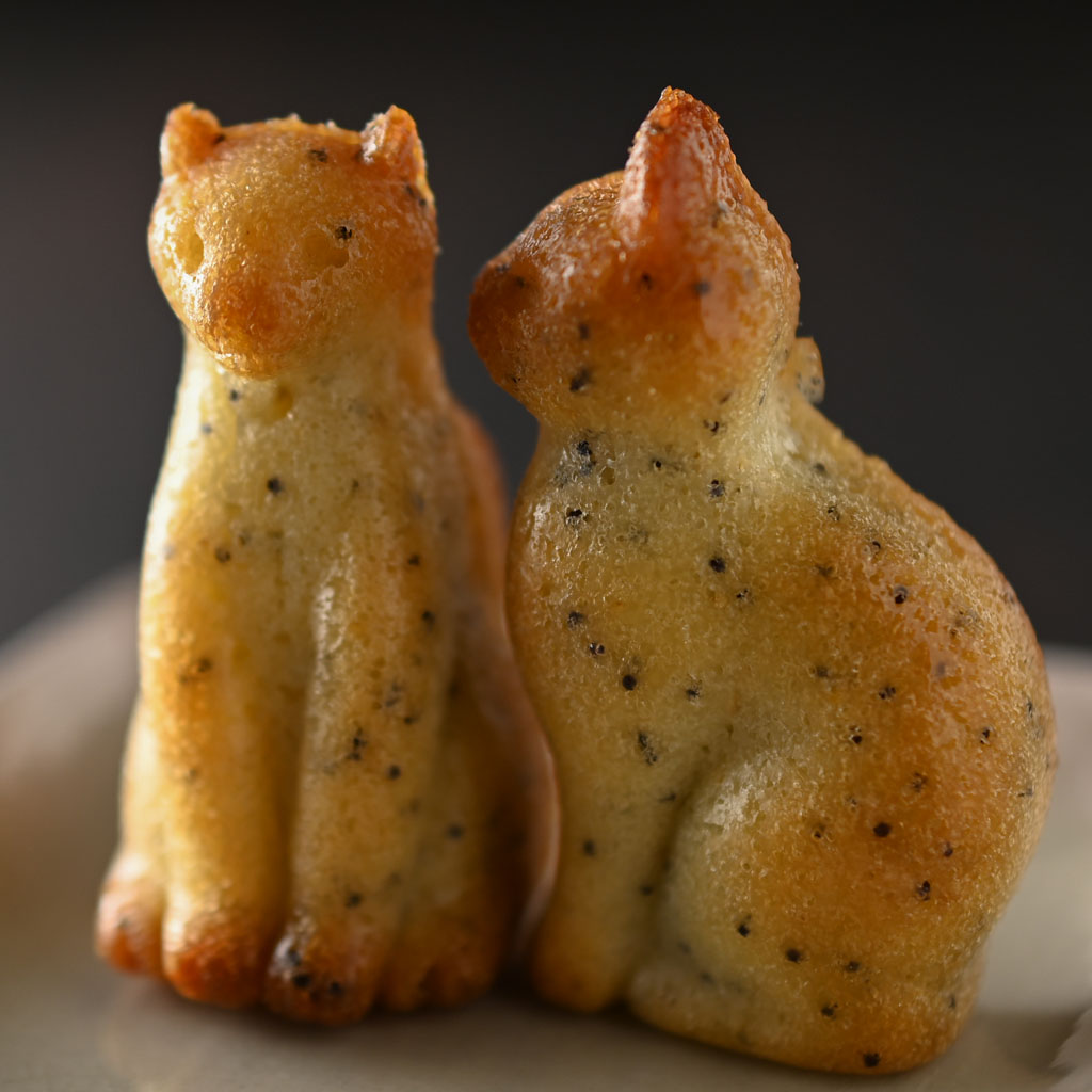 ねこフィナンシェ、けしの実