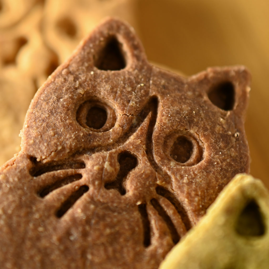 米粉とおからの猫クッキー